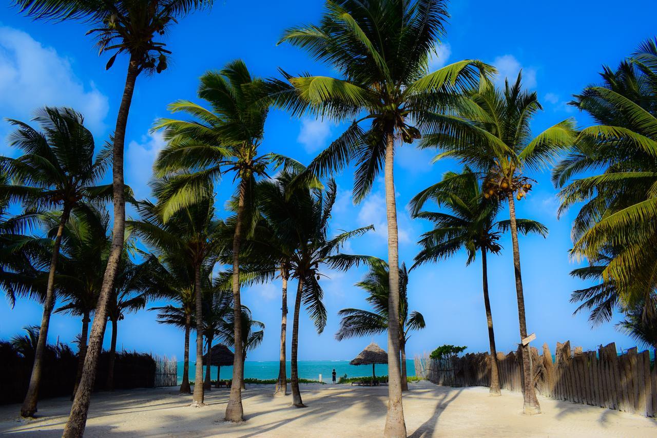 Bwejuu Beach Palm Villa Ngoại thất bức ảnh